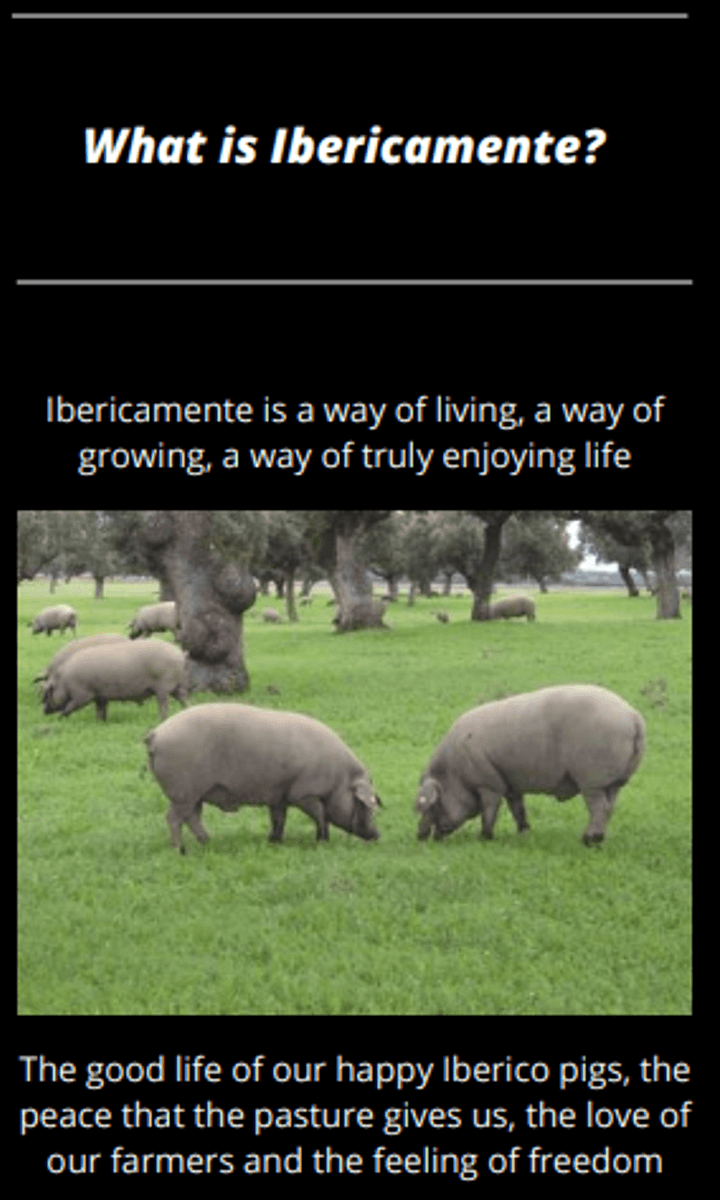 Ibéricoskinke Cebo 50% - 24 mnd m/ben ca 7,5 kg 